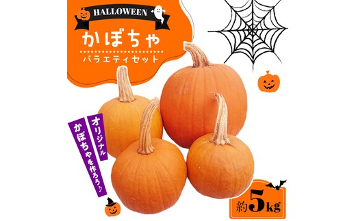 ハロウィンかぼちゃ バラエティセット 約5kg かぼちゃ カボチャ 南瓜 ハロウィン セット ジャックオーランタン ランタン ディスプレイ 装飾 飾り イベント 秋 (CG002)