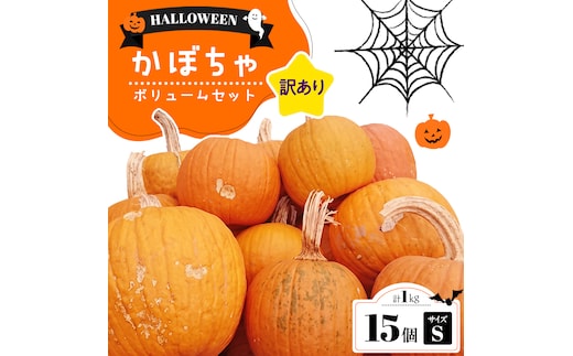 【訳あり】ハロウィン かぼちゃ 15個 ボリュームセット 計1kg Sサイズ かぼちゃ 南瓜 カボチャ ジャックオーランタン ハロウィンハロウィーン 訳あり わけあり 詰め合わせ 観賞用 飾り 置物 手作り イベント 秋 観賞用 (CG003)