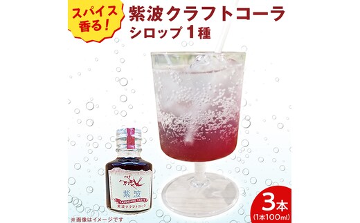 紫波クラフトコーラシロップ (黄昏テイスト) 100ml × 3本 クラフトコーラ コーラ シロップ コーラ原液 炭酸割り (DW011)