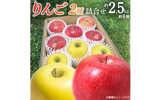 りんご 2種 詰め合わせ 約2.5kg りんご サンふじ シナノゴールド 林檎 リンゴ サンフジ フルーツ 果物 くだもの 食べ比べ 先行予約 数量限定 2026 令和8年産 農家直送 産地直送 デザート 旬 季節の果物 ふるさと納税 2.5kg 岩手県 紫波町 岩手 (FB002)