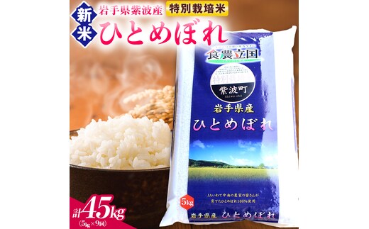 【 新米 】【9回定期便】お米 5kg ( 総計45kg ) 白米 ひとめぼれ 特別栽培米 ★令和8年産★ 精米 米 おこめ ご飯 令和8年 特別栽培 仕送り お弁当 5キロ 定期便 定期 コメ 岩手県 紫波町産 (AD080)