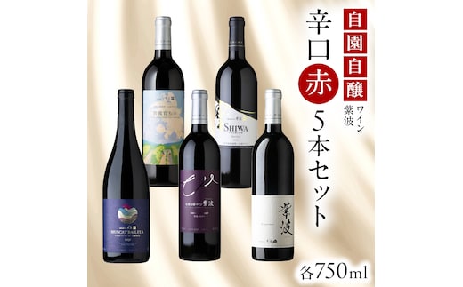 自園自醸ワイン紫波 辛口 赤ワイン 5本セット ワイン 日本ワイン 国産ワイン 赤 セット 飲み比べ わいん 酒 自園自醸ワイン紫波 辛口 さけ ぶどう 葡萄 ブドウ 5本 国産 プレゼント おすすめ (AL112)