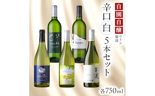 自園自醸ワイン紫波 辛口 白ワイン 5本セット ワイン 日本ワイン 国産ワイン 白 セット 飲み比べ わいん 酒 自園自醸ワイン紫波 辛口 さけ ぶどう 葡萄 ブドウ 5本 国産 プレゼント おすすめ (AL113)