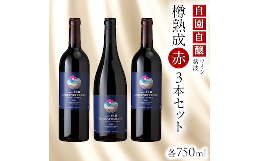 自園自醸ワイン紫波 樽熟成 赤ワイン3本セット ワイン 日本ワイン 国産ワイン 赤 ミディアムボディ セット 飲み比べ わいん 酒 自園自醸ワイン紫波 辛口 さけ ぶどう 葡萄 ブドウ 3本 国産 プレゼント おすすめ 樽熟成 樽 (AL114)