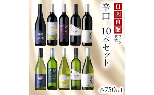 自園自醸ワイン紫波 辛口ワイン 10本セット ワイン 日本ワイン 国産ワイン 赤 白 ライトボディ ミディアムボディ セット 飲み比べ わいん 酒 自園自醸ワイン紫波 辛口 さけ ぶどう 葡萄 ブドウ 10本 国産 プレゼント おすすめ (AL115)