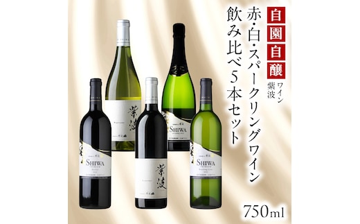 自園自醸ワイン紫波 赤・白・スパークリングワイン 飲み比べ 5本セット ワイン 辛口 日本ワイン 国産ワイン 赤 白 スパークリング わいん 酒 自園自醸ワイン紫波 ぶどう 葡萄 ブドウ 国産 5本 (AL117)