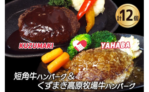 岩手県 矢巾町と葛巻町の人気返礼品 ハンバーグの食べ比べ合計12個