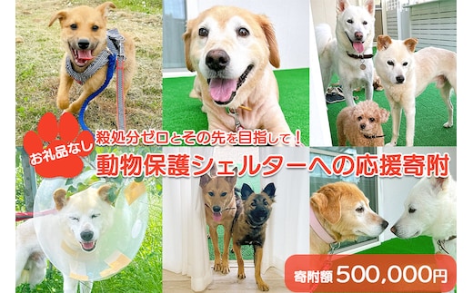 【お礼品なし】殺処分ゼロとその先を目指して！ 動物保護シェルターへの応援寄附 500,000円