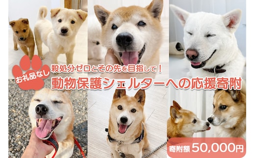 【お礼品なし】殺処分ゼロとその先を目指して！ 動物保護シェルターへの応援寄附 50,000円