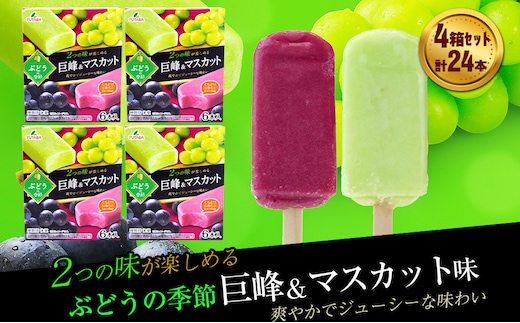 フタバ食品 ぶどうの季節 4箱セット 4箱セット 計24本