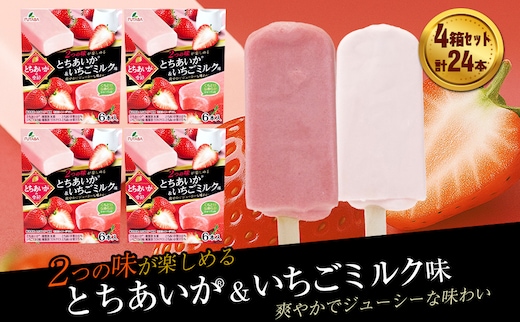 フタバ食品 とちあいか®の季節 4箱セット 計24本