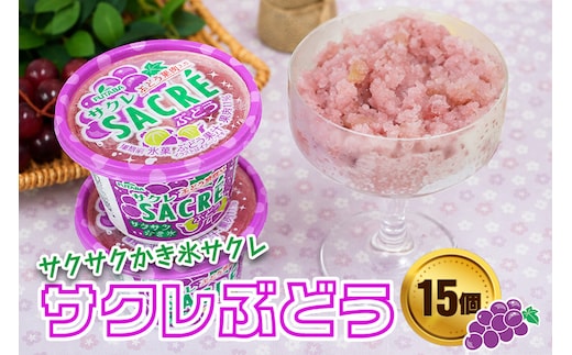 フタバ食品 アイス15個 サクレぶどう満足セット