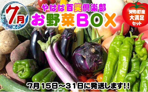 数量限定 矢巾町産 夏野菜セット【10種】7月発送