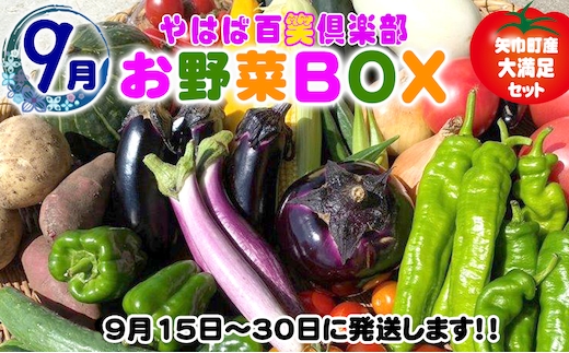 数量限定 矢巾町産 秋野菜セット【10種】9月発送