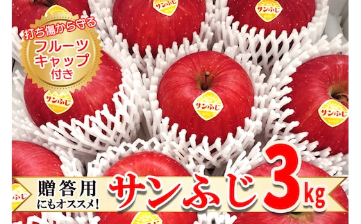高橋りんご園 『サンふじ』3kg(8～10玉) フルーツキャップ付き 贈答用にもオススメ！