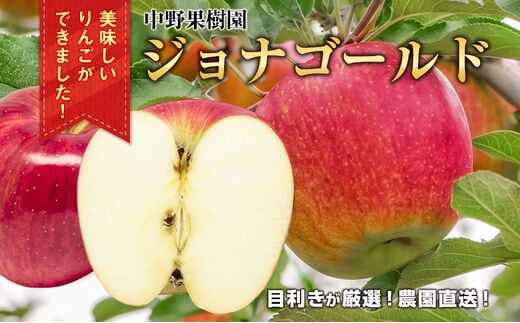 中野果樹園のジョナゴールド5kg（16～20個入り）
