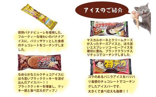 フタバ食品 アイス18個 チョコまみれセット チョコ好き専用アイス