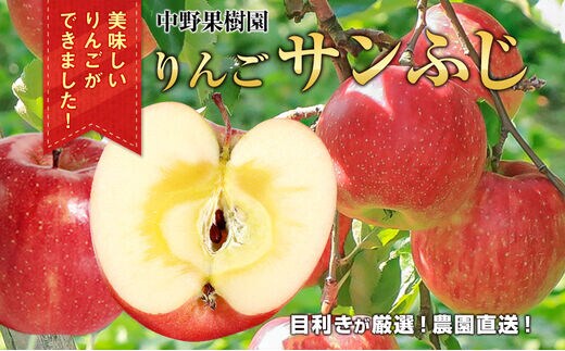 中野果樹園のサンふじ5kg（13～16個入り）