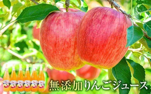 搾りたて果汁100％！無添加りんごジュースお楽しみ６本セット 訳あり