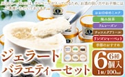 ジェラート 6種 6個 バラエティーセット GELATERIA NAKAICHI《30日以内に出荷予定(土日祝除く)》岩手県 九戸村 ジェラート アイス ミルク チョコ 抹茶 リンゴ ラムレーズン---isk_fnkice_30d_23_11000_6i---