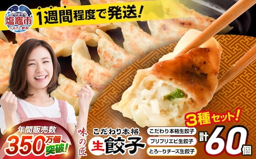 安心無添加 本格 生餃子 3種類 詰め合わせ 計60個（12人前） エビ 餃子 チーズ 餃子 冷凍餃子 冷凍食品 おかず おつまみ 手作り餃子 味の匠 5402225 | 5402225