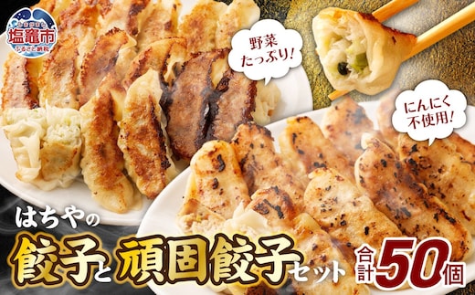 はちやの餃子と頑固餃子セット 4558359