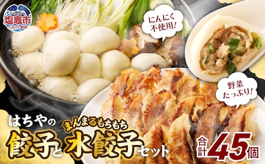はちやの餃子（15個入）とまんまるもちもち水餃子（30個入）のセット 5037886