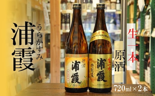 日本酒 飲み比べセット 浦霞「 生一本 」「 原酒 」2本セット(720ml×2)