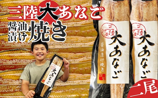 プレミアム 国産 大 あなご 醤油漬け 焼き (2尾) 冷凍 宮城県産 穴子 調理済み あたためるだけ レンジでチン レンチン 時短 アナゴ 宮城県 塩竈市 三晃食品 sh00020