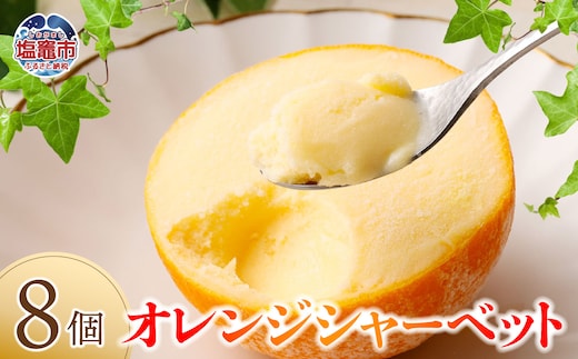オレンジシャーベット8個入り 4504494 | 4504494