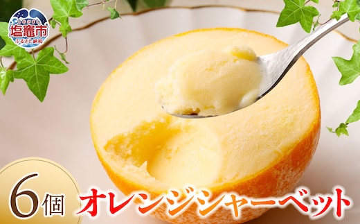 オレンジシャーベット6個入り yy00001 | yy00001