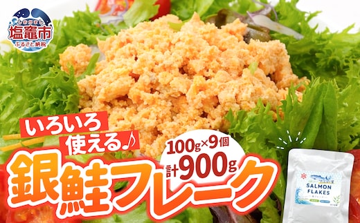 銀鮭 フレーク 100g×9入 | ss00024-100g9p