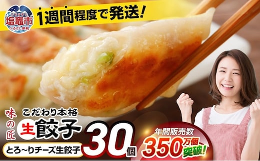 安心無添加 餃子 とろ～り チーズ こだわり 生餃子 防腐剤不使用 30個 冷凍 | r6-th00013