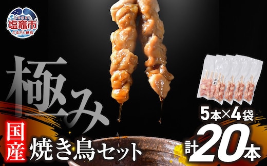 極みの 焼き鳥セット 選べる本数 20本 | r6-us00002-20