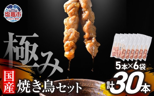 極みの 焼き鳥セット 選べる本数 30本 | r6-us00002-30