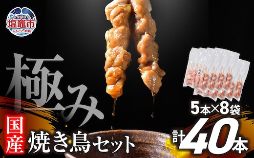 極みの 焼き鳥セット 選べる本数 40本 | r6-us00002-40