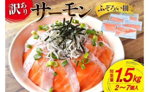 訳あり サーモン 尾っぽ柵 おさしみ用 総重量1.5kg 無添加 [足利本店 宮城県 気仙沼市 20565605] 尾っぽ 柵 魚介類 海鮮 さけ 魚 刺身 お刺し身 刺し身 生食用 サケ シャケ 鮭 個包装 真空包装 チリ銀鮭 銀鮭 海鮮丼 魚介 冷凍 鮮魚 個包装 小分け
