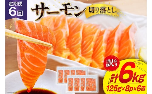 6回 定期便 訳あり サーモン 切り落とし おさしみ用 125gx8p×6回 合計6kg [足利本店 宮城県 気仙沼市 20564708] 魚介 鮭 さけ サケ お刺し身 刺し身 刺身 生 生食 個包装 小分け カット済み ちょうどいい 銀鮭 チリ銀鮭 養殖