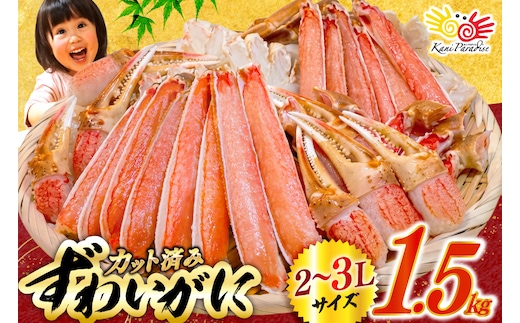 カット済 生 ずわいがに むき身 セット 総重量 1.5kg (正味重量1.2kg) 2-3Lサイズ [カネダイ 宮城県 気仙沼市 20565690] かに カニ ズワイガニ ずわい ズワイ 蟹 棒肉 ポーション かに鍋 かにしゃぶ 生ずわい