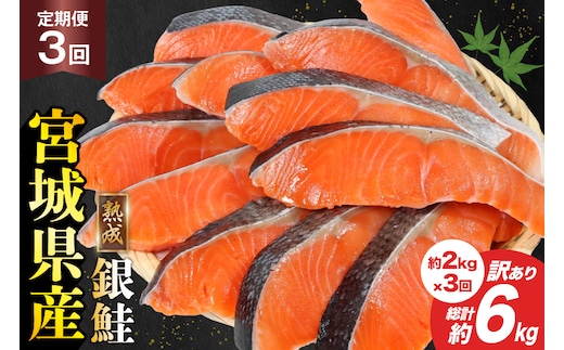 定期便 《3ヶ月連続お届け》 訳あり 宮城県産 熟成 銀鮭 切身 約2kg×3回 計6kg [宮城東洋 宮城県 気仙沼市 20564500] 魚 鮭 海鮮 国産 さけ 鮭 甘口 サケ 鮭切身 シャケ 切り身 冷凍 おかず 弁当 支援 事業者支援 サーモン