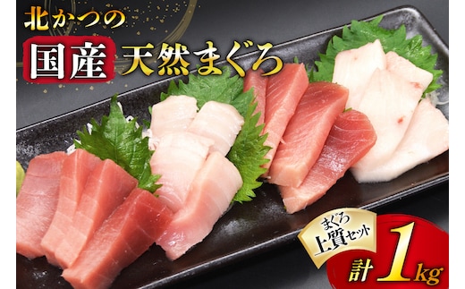 北かつのマグロ上質セット (マグロ中トロ 200g マグロ上質赤身 200g×2 メカジキ 200g びんちょう 200g）合計1kg [北かつ商事 宮城県 気仙沼市 20563511] 魚 鮪 マグロ 中トロ まぐろ 赤身 刺身 魚介 メカジキ 冷凍