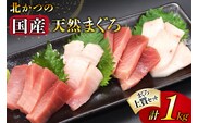 北かつのマグロ上質セット (マグロ中トロ 200g マグロ上質赤身 200g×2 メカジキ 200g びんちょう 200g）合計1kg [北かつ商事 宮城県 気仙沼市 20563511] 魚 鮪 マグロ 中トロ まぐろ 赤身 刺身 魚介 メカジキ 冷凍