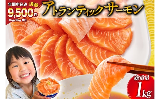 ノルウェー産 アトランティックサーモン 総重量 1kg (正味重量850g) 