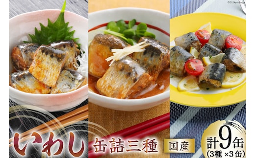 いわし 缶詰 食べ比べ セット 170g×9缶 3種×3 [気仙沼市物産振興協会 宮城県 気仙沼市 20565278] いわし醤油煮 いわし味噌煮 いわしバジルソース 長期保存 非常食 備蓄 防災