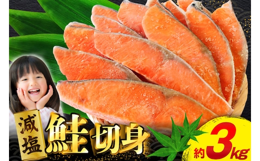 訳あり 無添加 減塩 塩銀鮭 切身 総重量 3kg [足利本店 宮城県 気仙沼市 20565551] 魚 魚介類 サーモン 鮭 海鮮 魚介 甘塩味 塩分控えめ さけ サケ 鮭切身 シャケ 切り身 銀鮭切り身 簡易包装 規格外 不揃い 家庭用 冷凍