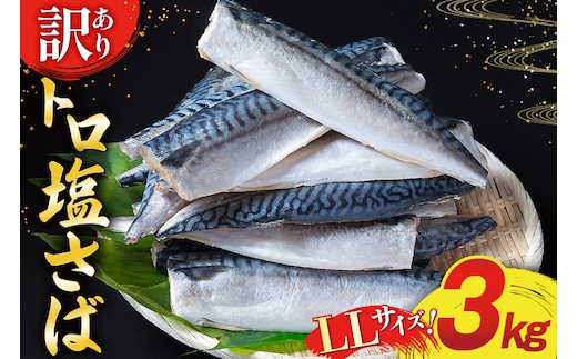 訳あり トロ塩サバ フィレ LLサイズ 3kg ★フィレ1枚230g超え！[足利本店 宮城県 気仙沼市 20565620] 魚介類 魚 海鮮 鮮魚 サバ さば 鯖 サバフィレ サバフィーレ 鯖フィレ トロサバ 訳アリ わけあり 切り身 冷凍