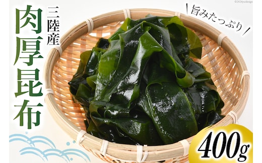 三陸産 肉厚 昆布 400g [川村海産 宮城県 気仙沼市 20564661] 海産物 コンブ 佃煮 煮物 おやつ おつまみ おでん 煮物 煮しめ 出汁 海藻 魚介類 常温