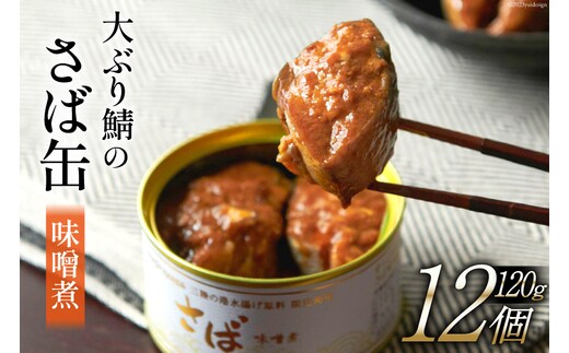 大ぶり鯖のさば缶 12缶セット 味噌煮 [ モンマルシェ 宮城県 気仙沼市