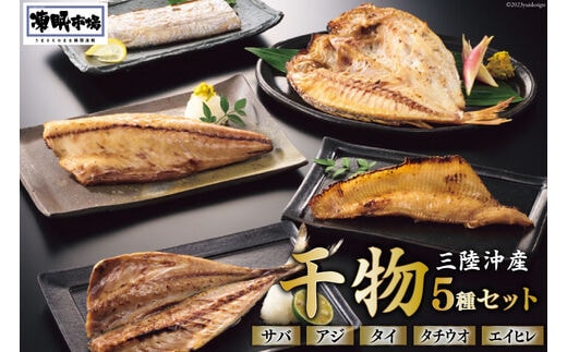 日本贈りめし×凍眠市場 三陸産干物 5種セット 計900g（さば 300g アジ 150g タイ 150g タチウオ 200g エイヒレ 100g） [シャディ 宮城県 気仙沼市 20564031] 干物 魚 魚介 冷凍