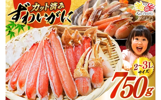 カット済 生 ずわいがに むき身 セット 総重量 750g (正味重量600g) 2-3Lサイズ [カネダイ 宮城県 気仙沼市 20565652] かに カニ ズワイガニ ずわい ズワイ 蟹 棒肉 ポーション かに鍋 かにしゃぶ 生ずわい